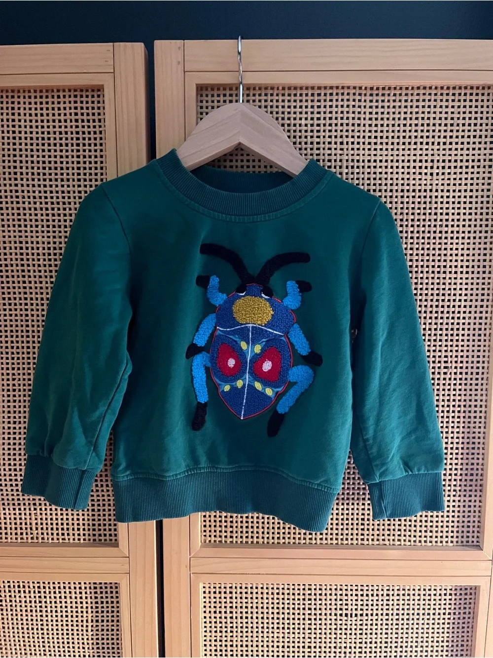 Forest Green Kids Sweatshirt with Colorful Bug 2-3T